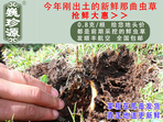 rx(chng)Ĳ շb 0.8/r(ji)80Ԫ/