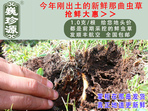 rx(chng)Ĳ շb 1/r(ji)100Ԫ/
