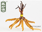 x(chng)Ĳ2.5l/ ڲ x؛r(ji)252Ԫ/